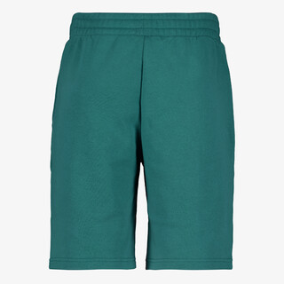 Puma Ess 2 Color No. 1 heren sweatshort groen