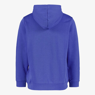 Puma Essentials 2 Color No. 1 kinder hoodie blauw
