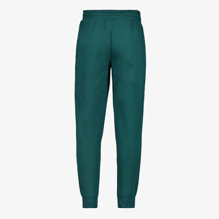 Puma ESS NO. 1 Logo FL CL S heren joggingbroek groen