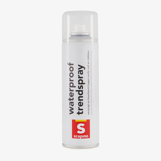 Schoenspray waterafstotend multifunctioneel 300 ml