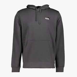 Puma Essentials Small No. 1 Logo heren hoodie grijs