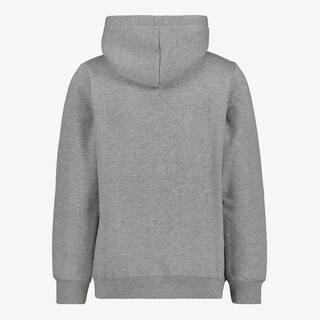 Puma ESS 2 Color No. 1 Logo kinder hoodie grijs