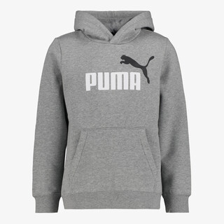 Puma ESS 2 Color No. 1 Logo kinder hoodie grijs