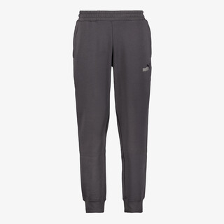 Puma ESS 2 Color NO. 1 Logo FL CL heren joggingbroek grijs