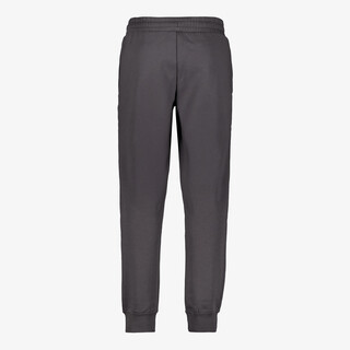 Puma ESS 2 Color NO. 1 Logo FL CL heren joggingbroek grijs