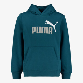 Puma ESS 2 Color No. 1 Logo kinder hoodie blauwgroen