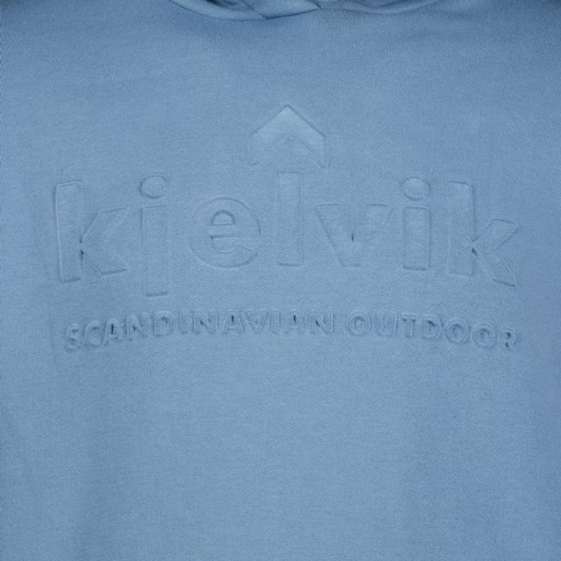 Heren hoodie blauw