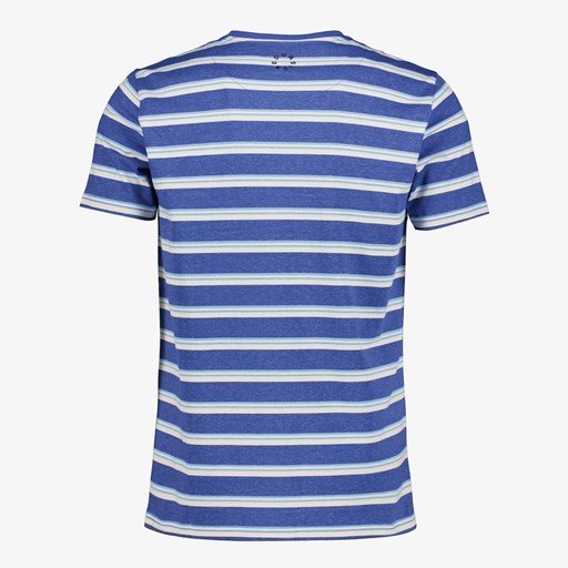 Heren T-shirt met strepen blauw