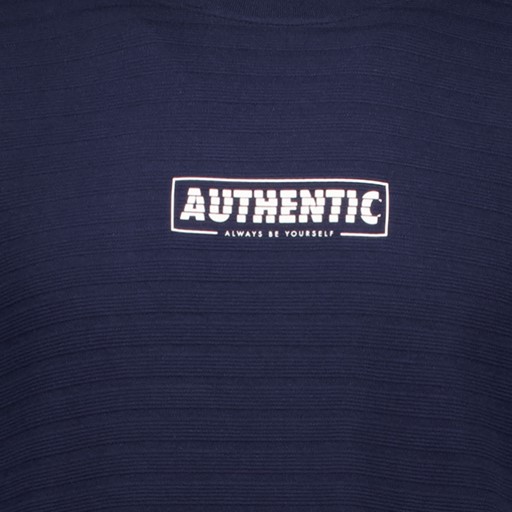 Heren T-shirt met tekstopdruk blauw