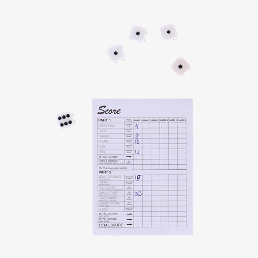 Yatzee compleet dobbelset