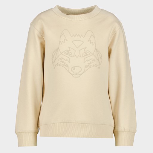 Jongens sweater beige met opdruk