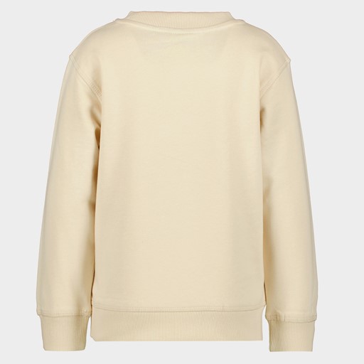 Jongens sweater beige met opdruk