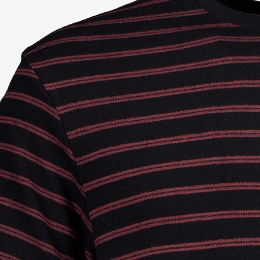 Heren T-shirt met streepjes