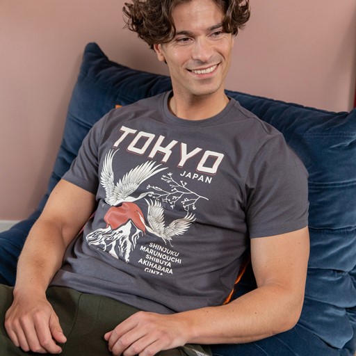 Heren T-shirt met opdruk grijs