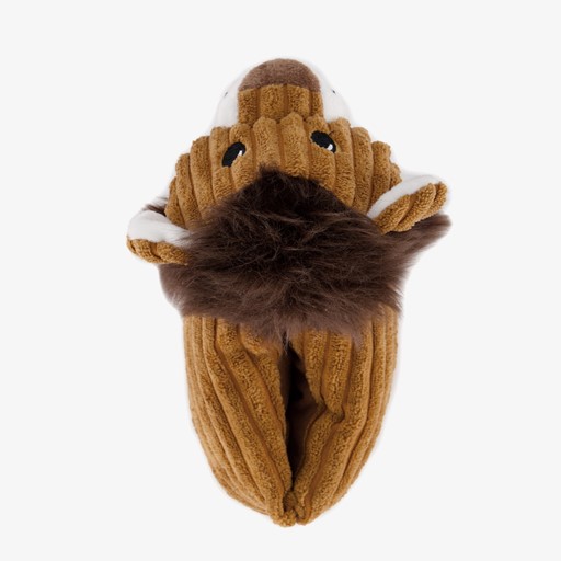 Kinder pantoffels leeuw