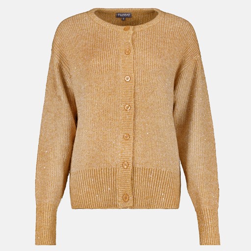 Gebreid dames vest met glitter bruin