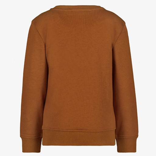 Jongens sweater bruin met tijger