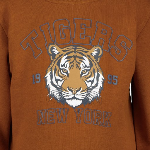 Jongens sweater bruin met tijger