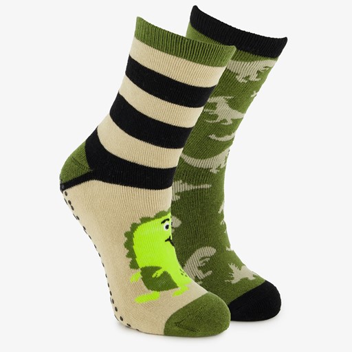 2 paar kinder antislip sokken met dino groen