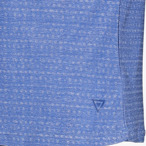 Dry heren hardloopshirt blauw