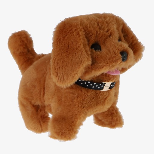 Loop En Blaf Hondje