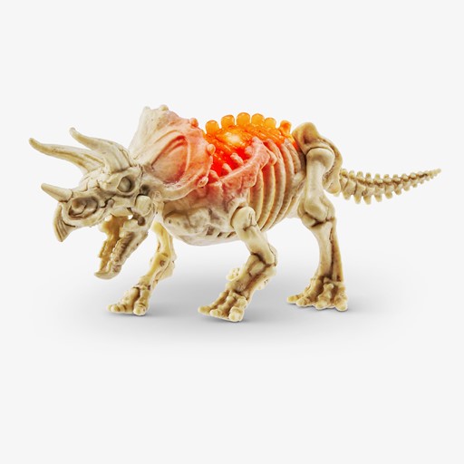 Verrasingsei Dino Fossil Find