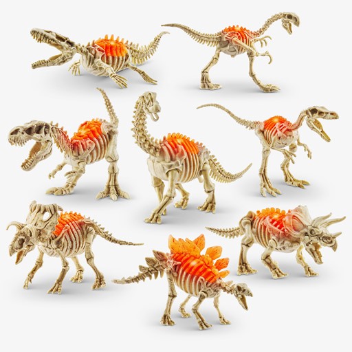 Verrasingsei Dino Fossil Find