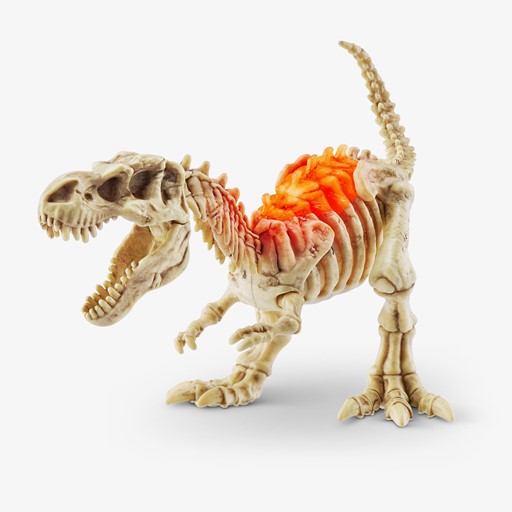 Verrasingsei Dino Fossil Find