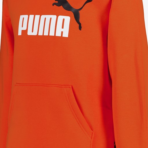 ESS Col 2 Big Logo kinder hoodie rood