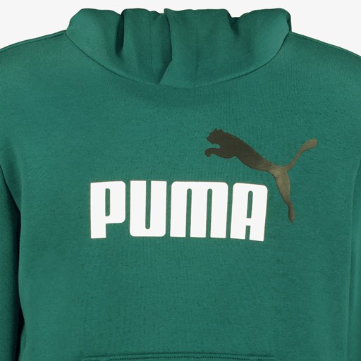 ESS Col 2 Big Logo kinder hoodie groen