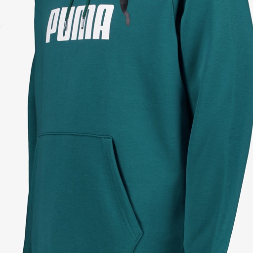 Essentials Big Logo heren hoodie groen