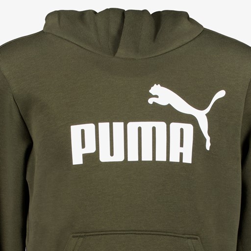 ESS Col 2 Big Logo kinder hoodie donkergroen