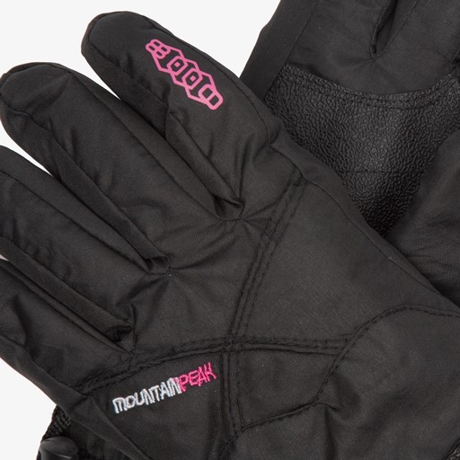 Dames skihandschoenen