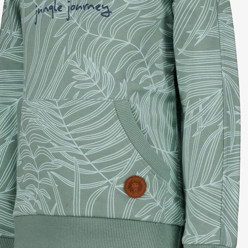 Jongens hoodie lichtgroen met print