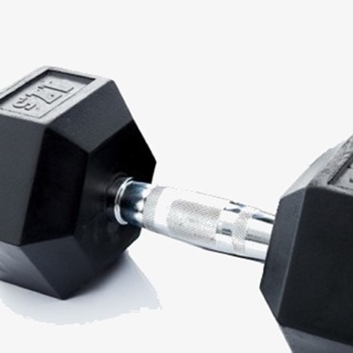 Hex Dumbbell 17.5 KG