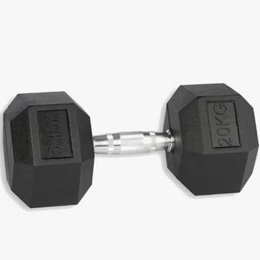 Hex Dumbbell 20 KG