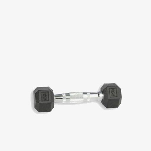 Hex Dumbbell 1 KG