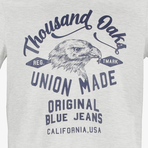 Heren T-shirt met opdruk grijs