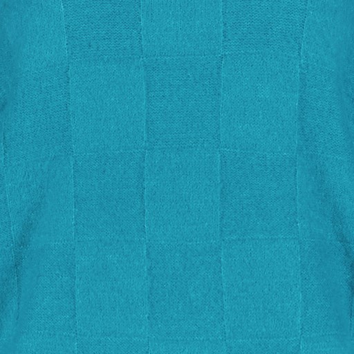 Geblokte dames trui blauw