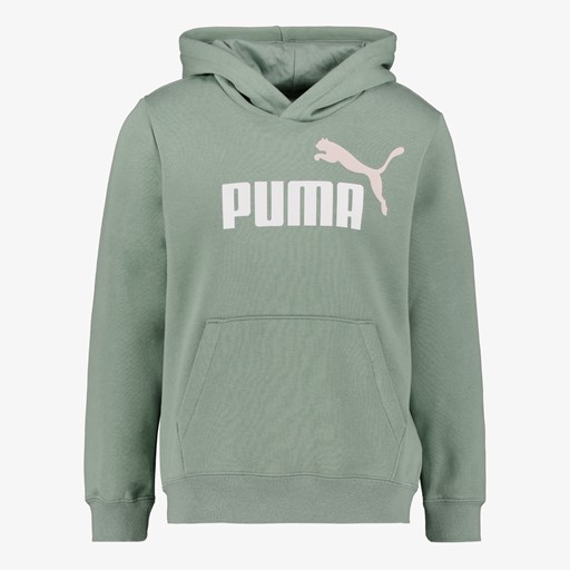 ESS 2 Col Big Logo FL kinder hoodie groen