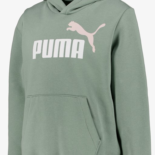 ESS 2 Col Big Logo FL kinder hoodie groen