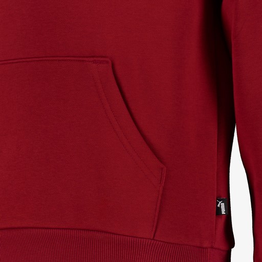 ESS 2 Col Big Logo FL kinder hoodie rood