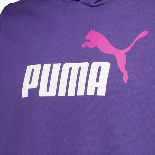 Essentials 2 Color No. 1 Logo hoodie paars