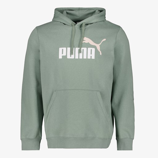 Essentials 2 Color No. 1 Logo heren hoodie groen