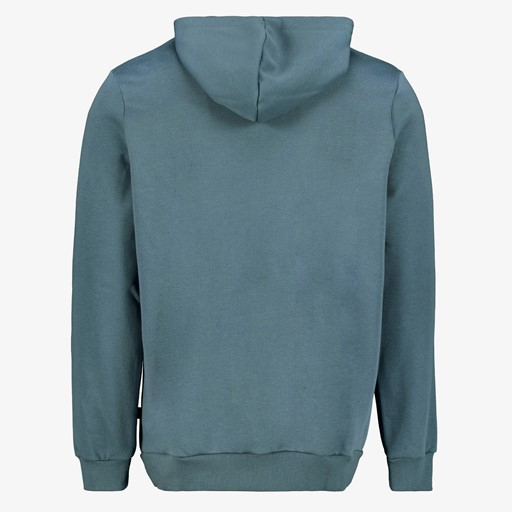 Essentials Big Logo heren hoodie grijs