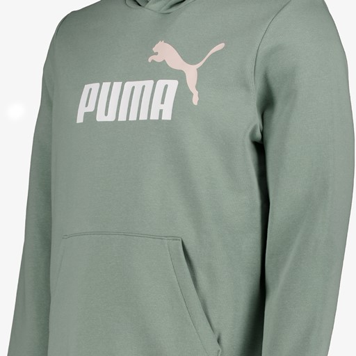 Essentials 2 Color No. 1 Logo heren hoodie groen