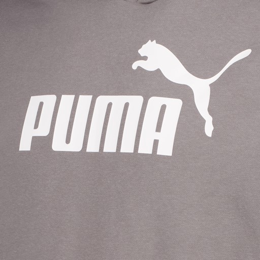 Essentials 2 Color No. 1 Logo hoodie grijs