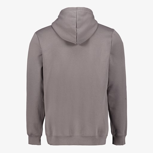 Essentials 2 Color No. 1 Logo hoodie grijs