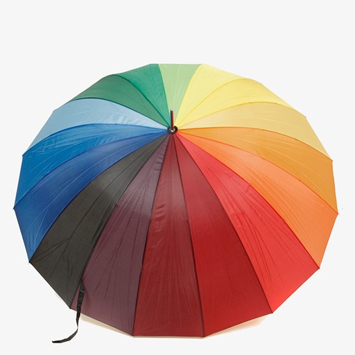 Regenboog paraplu