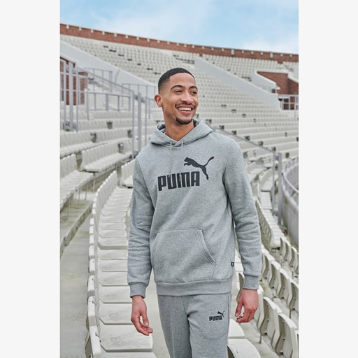 Essentials Big Logo heren hoodie grijs